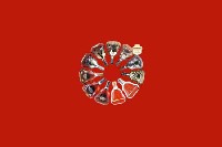 保定满城回收红酒